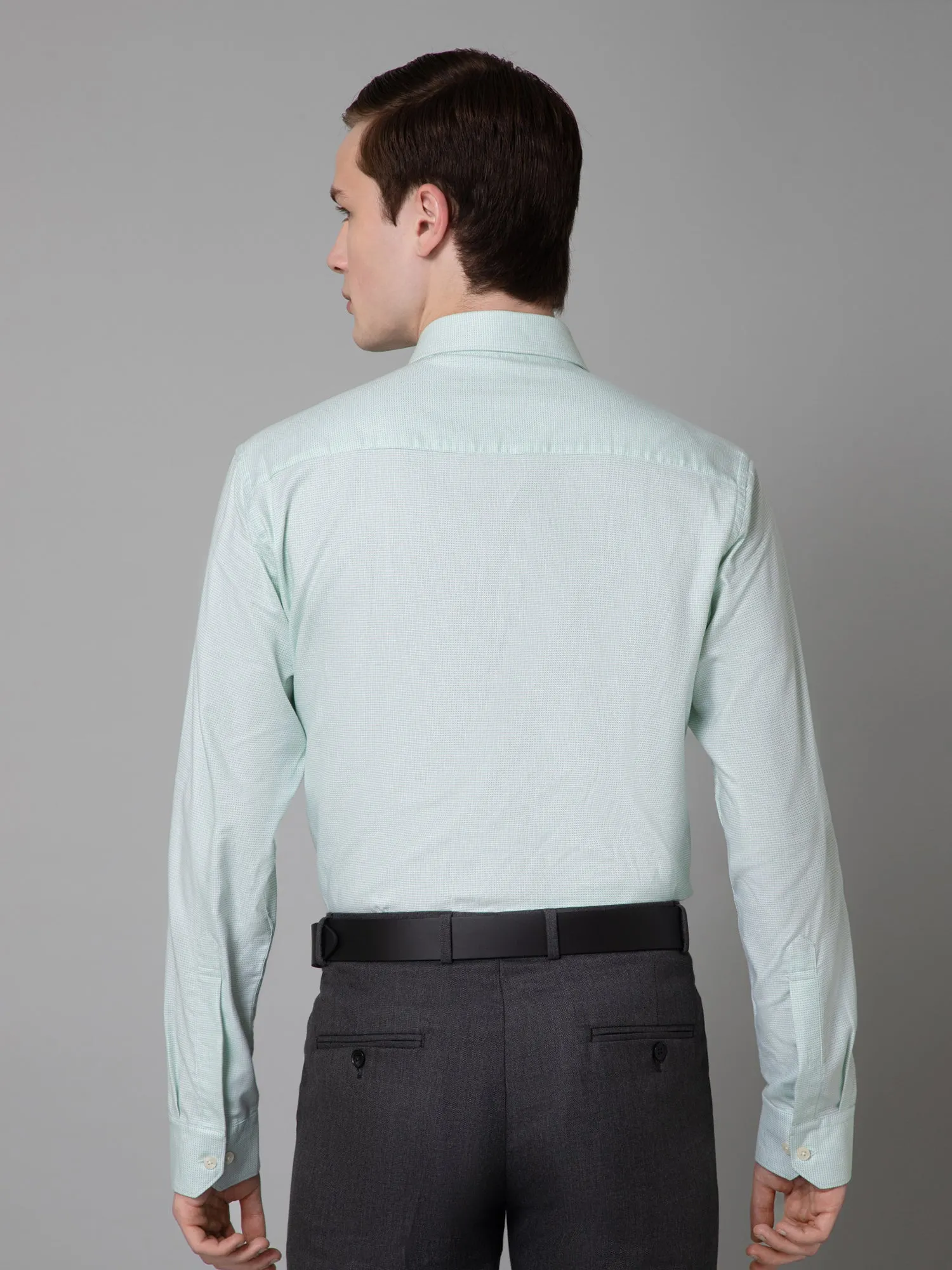 Men's Light Green Formal Self Textured Full Sleeve Shirt