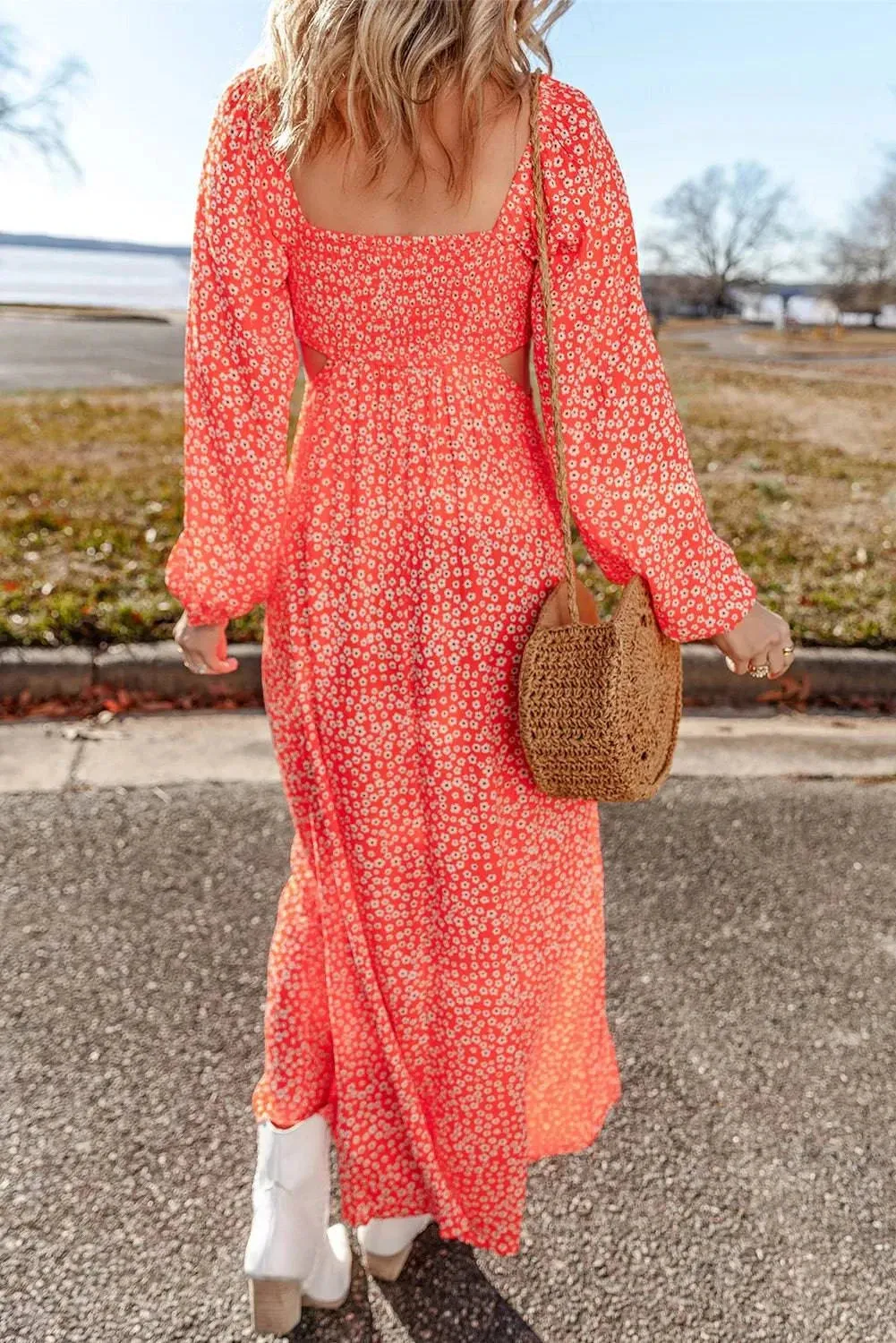 Printed V-Neck Long Sleeve Midi Dress